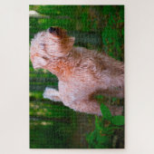 Wheaten Terrier Dog Jigsaws. Puzzle (Vertikal)