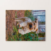 Wheaten Terrier Dog Jigsaws. Puzzle (Horizontal)