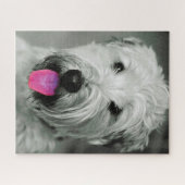 Wheaten Terrier Dog Jigsaws. Puzzle (Horizontal)