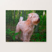 Wheaten Terrier Dog Jigsaws. Puzzle (Horizontal)