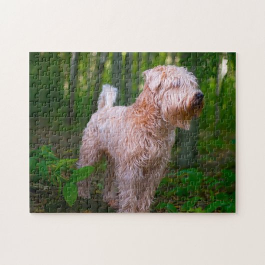 Wheaten Terrier Dog Jigsaws. Puzzle (Horizontal)
