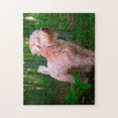 Wheaten Terrier Dog Jigsaws. Puzzle (Vertikal)