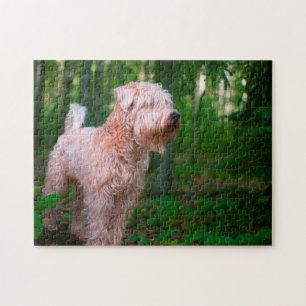 Wheaten Terrier Dog Jigsaws. Puzzle