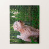 Wheaten Terrier Dog Jigsaws. Puzzle (Vertikal)