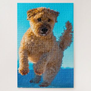 Wheaten Terrier Hund Puzzles. Puzzle