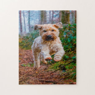 Wheaten Terrier Hund Puzzles. Puzzle