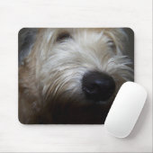 Wheaten Terrier-Hundegesicht Mousepad (Mit Mouse)