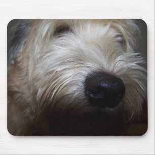 Wheaten Terrier-Hundegesicht Mousepad