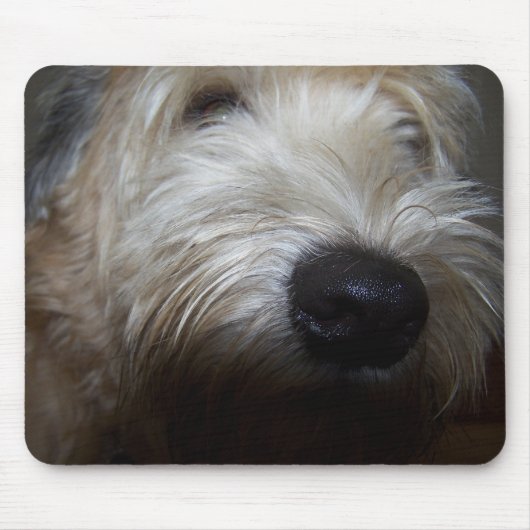 Wheaten Terrier-Hundegesicht Mousepad (Vorne)
