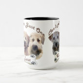 Wheaten Terrier kann gerade eine nicht haben Tasse (Zentrum)