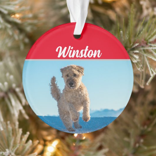 Wheaten Terrier mit Name und Foto Weihnachten Ornament (Baum)