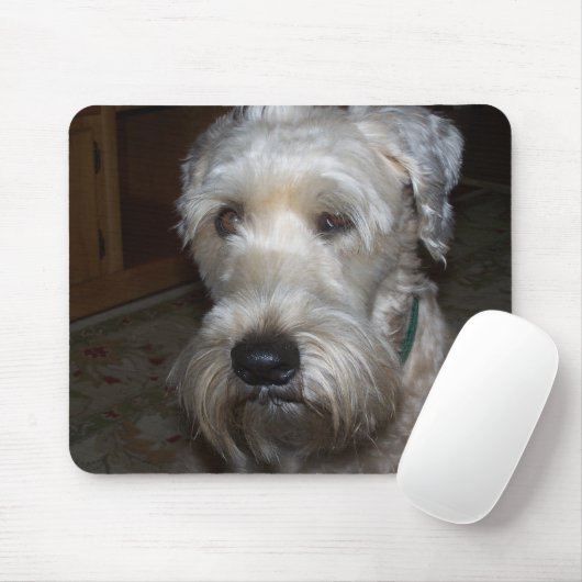Wheaten Terrier Mousepad (Mit Mouse)