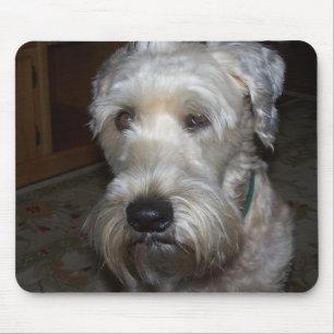 Wheaten Terrier Mousepad