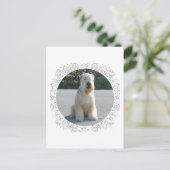 Wheaten Terrier Postkarte (Stehend Vorderseite)