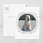 Wheaten Terrier Postkarte (Vorne/Hinten)