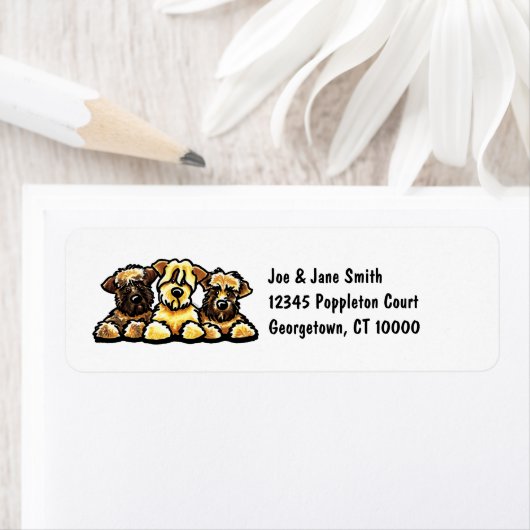 Wheaten Terrier Trio (Insitu)