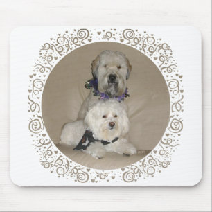 Wheaten Terrier und Havanese Mousepad