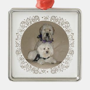 Wheaten Terrier und Havanese Silbernes Ornament