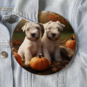 Wheaten Terrier Welpe Autumn Delight Pumpkin Button (Beispiel)