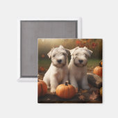 Wheaten Terrier Welpe Autumn Delight Pumpkin Magnet (Vorderseite/Rückseite)