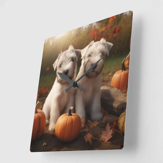 Wheaten Terrier Welpe Autumn Delight Pumpkin Quadratische Wanduhr (Winkel)