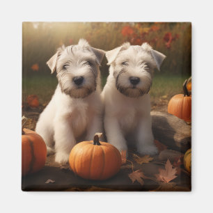 Wheaten Terrier Welpe Herbstfreude Kürbis Magnet