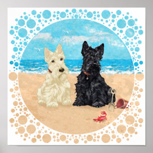 Wheaten- und Black Scotties am Strand Poster