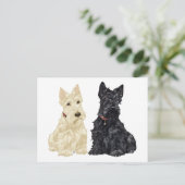 Wheaten und Black Scottish Terriers Postkarte (Stehend Vorderseite)