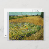 Wheatfield von Vincent Van Gogh Postkarte (Vorne/Hinten)
