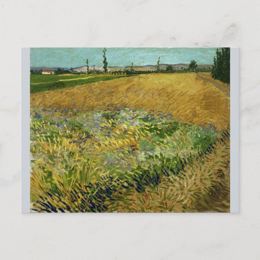 Wheatfield von Vincent Van Gogh Postkarte (Vorderseite)