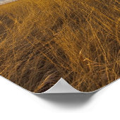 Wheatgrass and dramatic skies at Freezeout Lake Poster (Ecke)