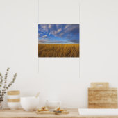 Wheatgrass and dramatic skies at Freezeout Lake Poster (Küche)