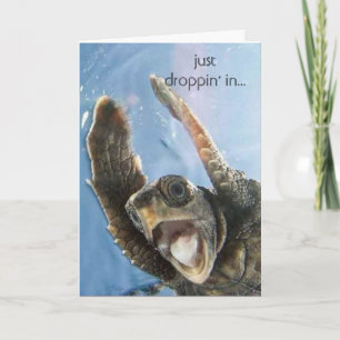 wheeeeeeeee Schildkröte, gerade droppin in… Karte