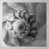 Whelk Poster (Vorne)
