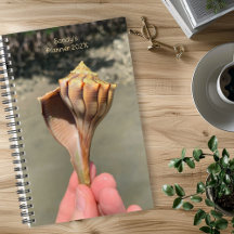 Whelk-Schalen-Fotografie-Individualplaner