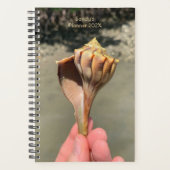 Whelk-Schalen-Fotografie Individueller Planer (Vorderseite)