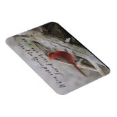 When cardinals appear, loved ones are near magnet (Rechte Seite)