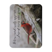 When cardinals appear, loved ones are near magnet (Vertikal)