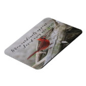 When cardinals appear, loved ones are near magnet (Linke Seite)