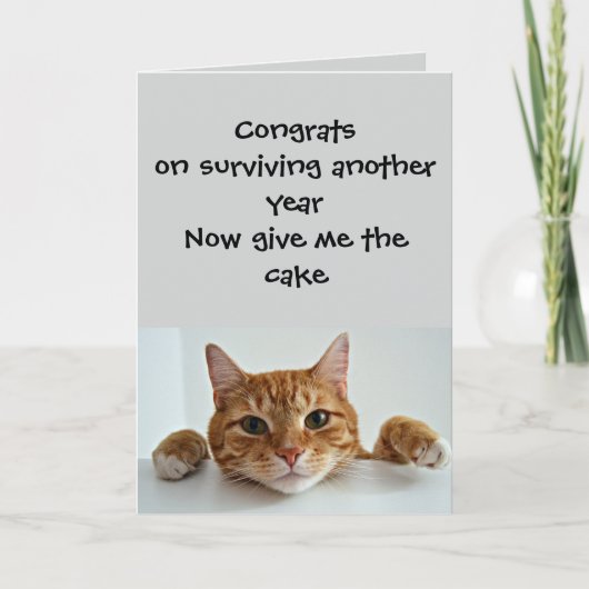 When the Cat Cares.. Just a Little –Funny Birthday Karte (Vorderseite)