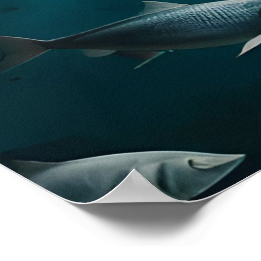 Where are They Poster (Ecke)