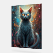 Where curiosity meets the cosmos. acrylschild (Winkel)