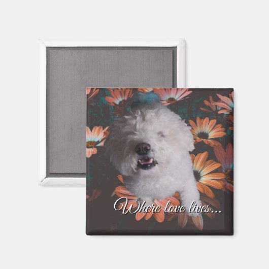 Where Love Lives Magnet (Vorderseite/Rückseite)