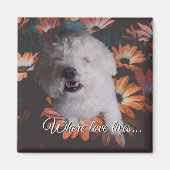 Where Love Lives Magnet (Vorne)