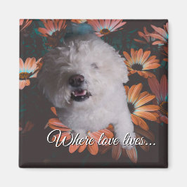 Where Love Lives Magnet