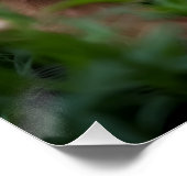 Where Muscle Meets Meadow Poster (Ecke)