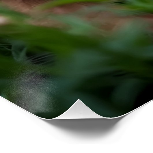 Where Muscle Meets Meadow Poster (Ecke)