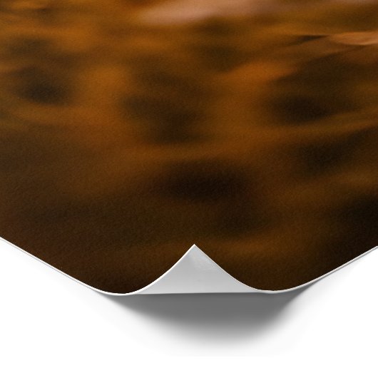 Where the Light Leads Us Poster (Ecke)