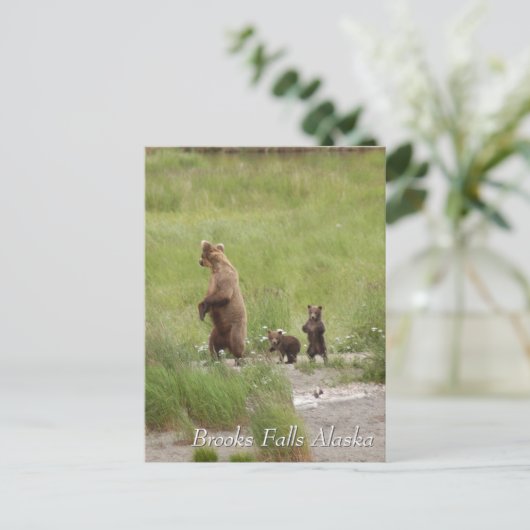 Where we going mom, Brooks Falls Alaska Postkarte (Stehend Vorderseite)