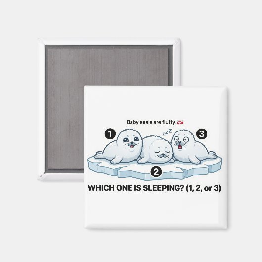 Which One Is Sleeping? – Baby Seal Learning Magnet (Vorderseite/Rückseite)